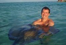 Stingray Habitat Tour